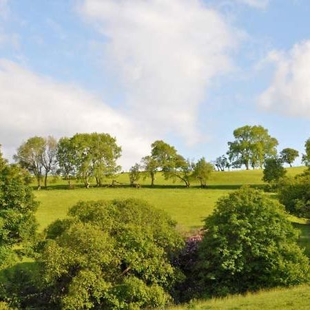 Hendre Aled Farmhouse Llansannan Екстериор снимка