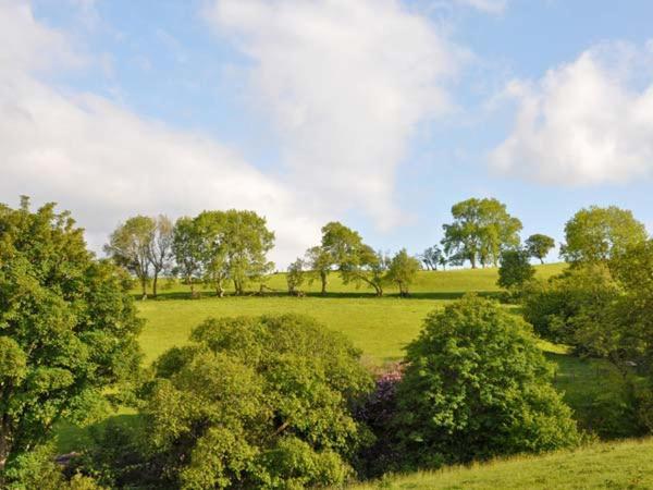 Hendre Aled Farmhouse Llansannan Екстериор снимка